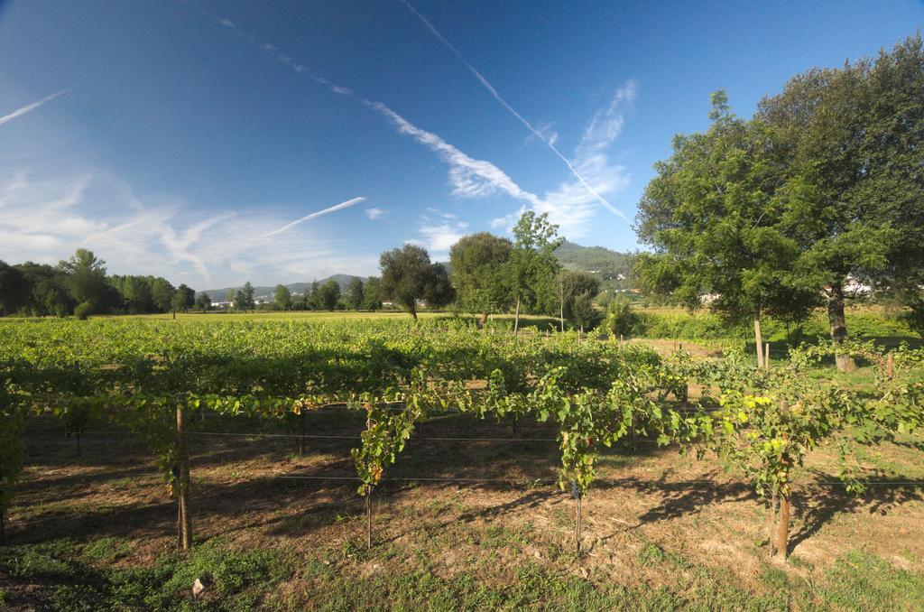 1720 Quinta Da Cancela - Winery & Farmhouse Guimarães Zewnętrze zdjęcie